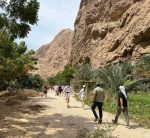 Cities, Wadies and Desert - Image 5