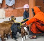 Discover North& South of Oman - Image 7