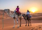 Highlights of Oman - Image 7