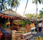 Jewels of Salalah - Image 5