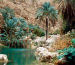 Muscat, wadi Shab, Ras Al Jins - Image 6