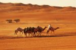 Muscat, wadi Shab, wahiba sands - Image 9