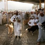 North Oman adventure tour - Image 9