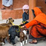 Oman, Culture& Nature