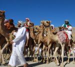 Oman, Culture& Nature - Image 6