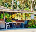Salalah, Hidden paradise - Image 5