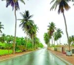 Salalah, Hidden paradise - Image 9
