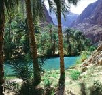 Wadi Shab, wahiba sands - Image 3
