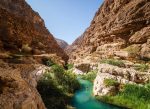Wadi Shab, wahiba sands - Image 6