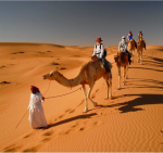 Wadi Shab, wahiba sands - Image 8
